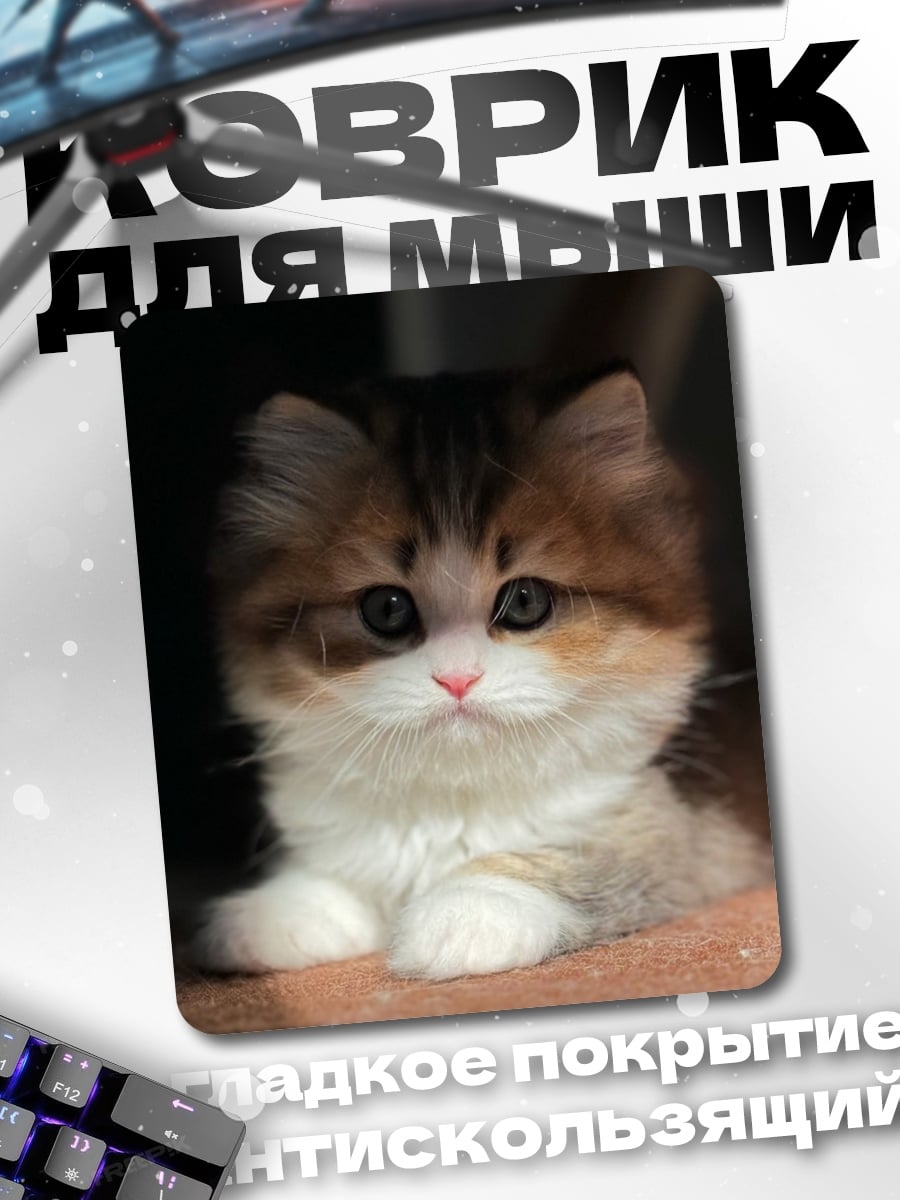 Коврик Пушистый котенок