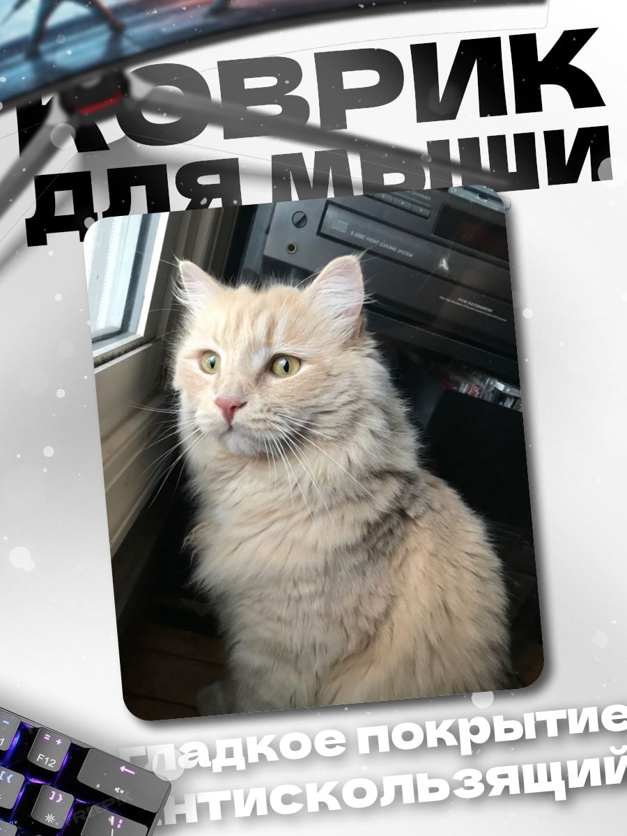 Коврик пушистый кот смотрит