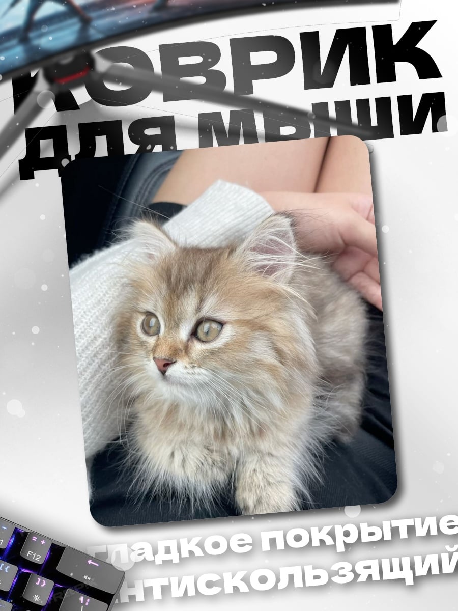 Коврик Пушистый котенок