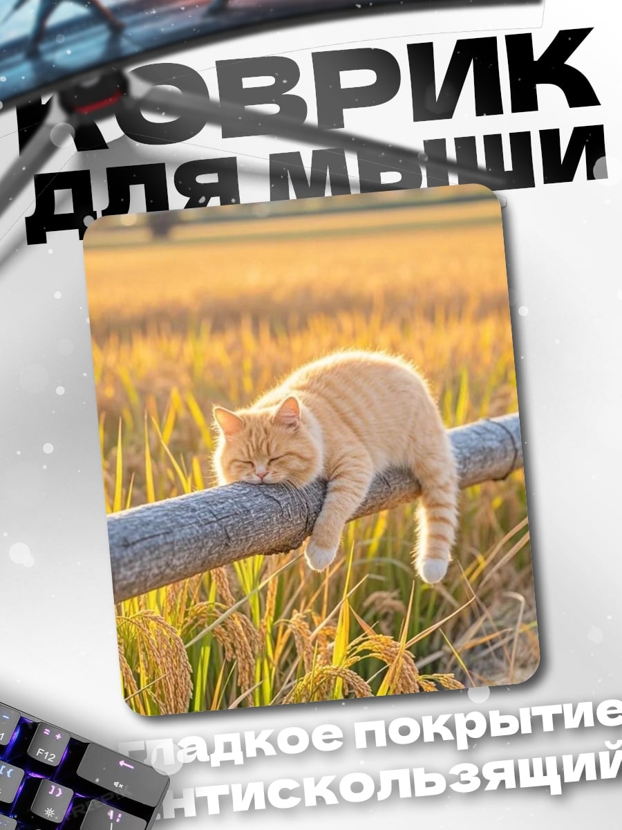 Коврик Кот спит на заборе