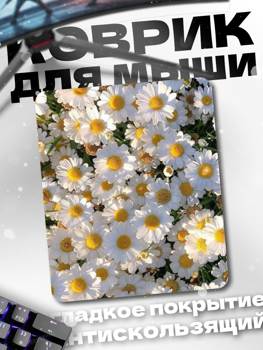 Коврик Поле ромашек