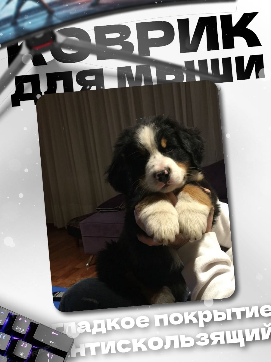 Коврик щенок бернского зенненхунда