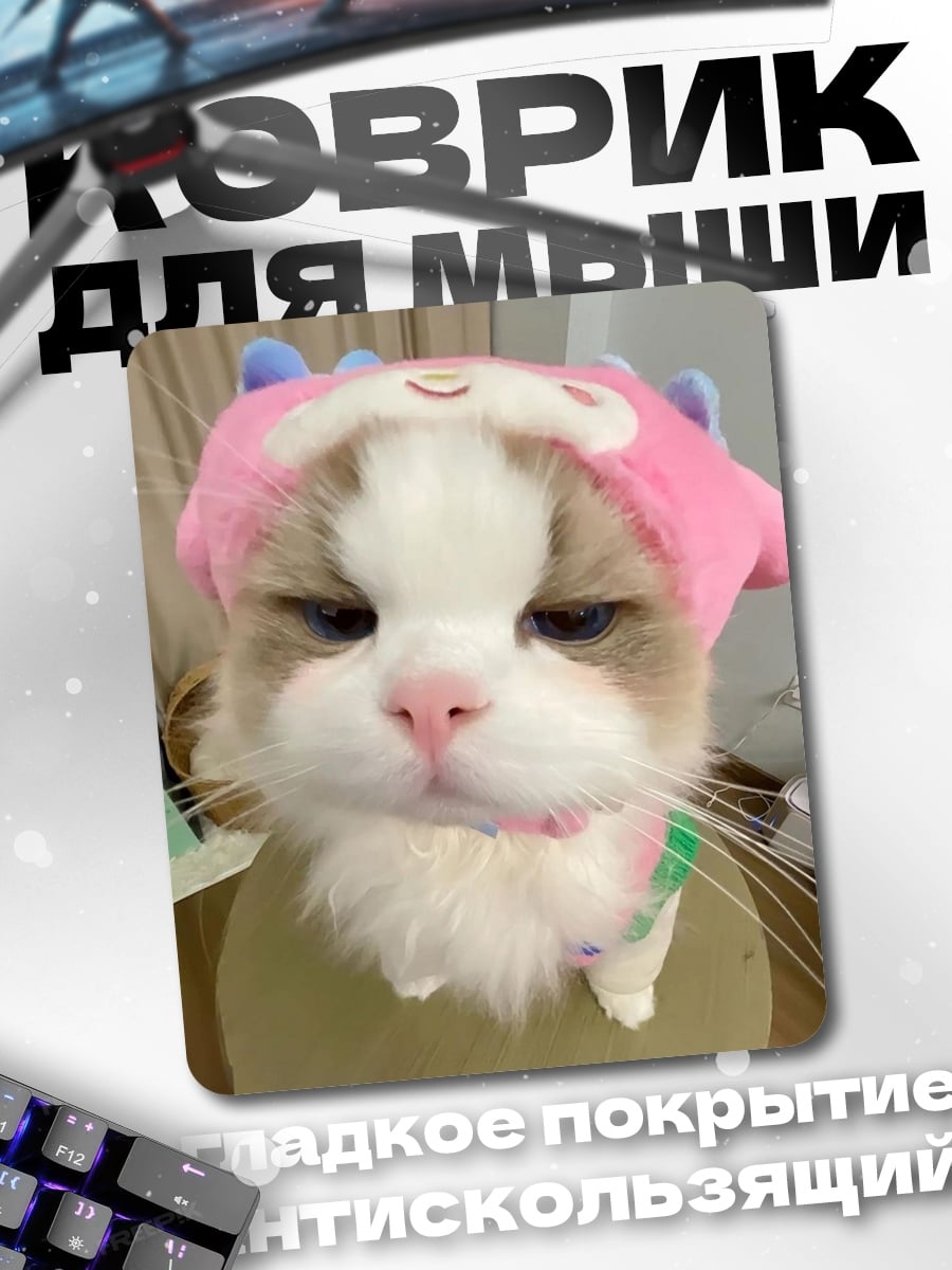 Коврик Кот в шапке