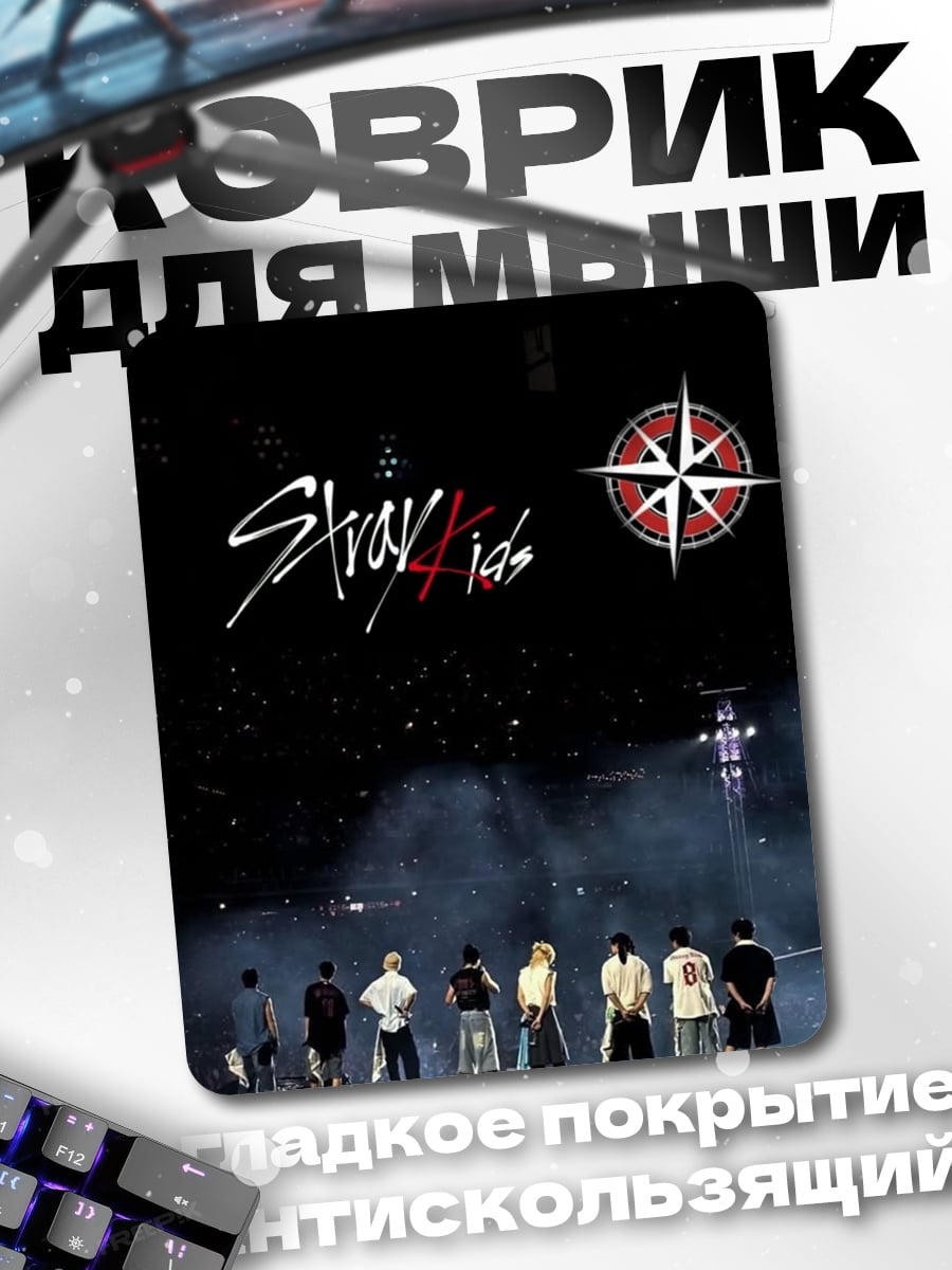 Коврик Stray Kids концерт