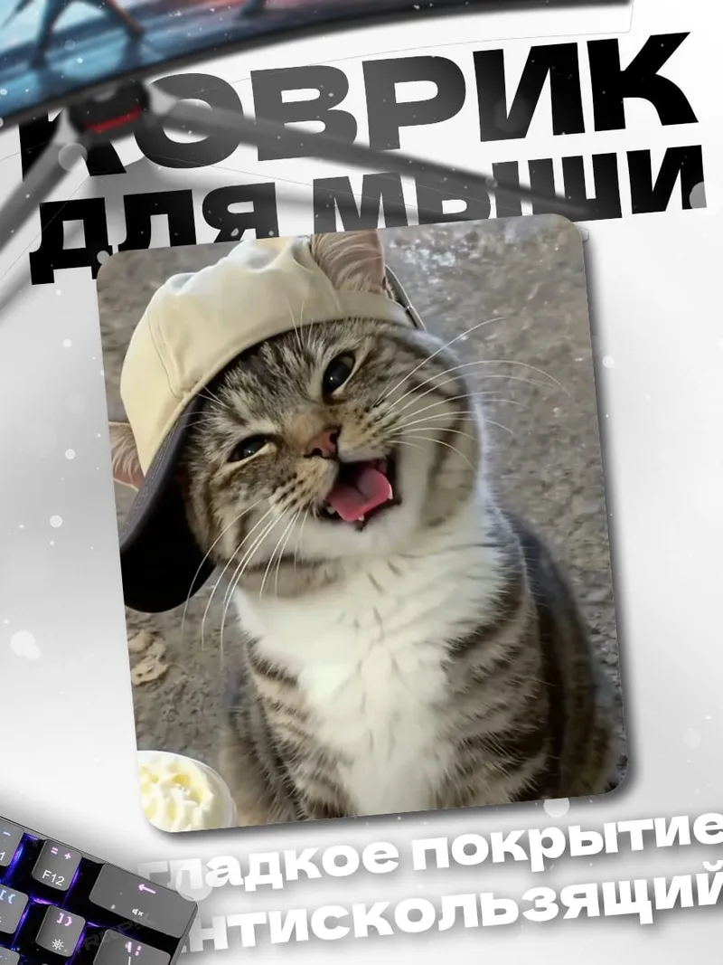 Коврик Кот в кепке