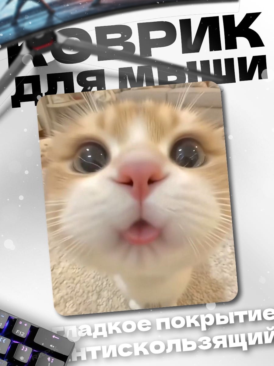 Коврик Забавный котик