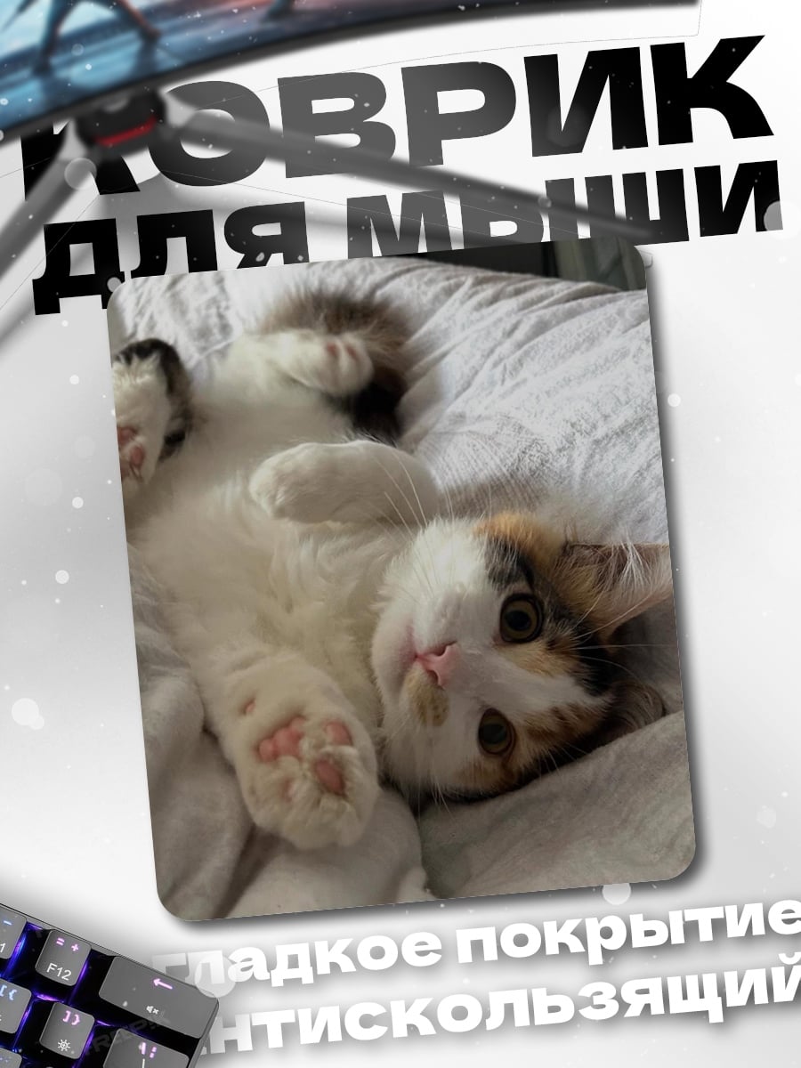 Коврик Кот на кровати