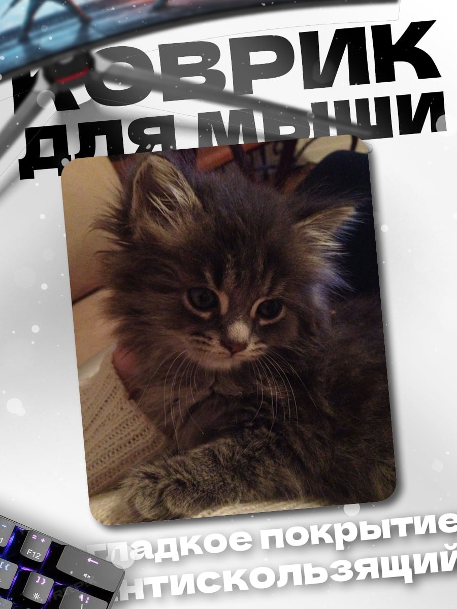 Коврик Пушистый котенок