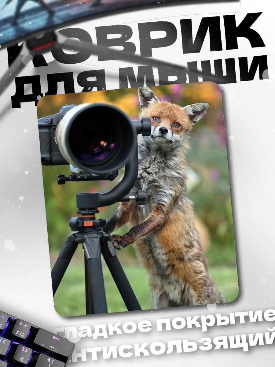 Коврик Лис фотограф