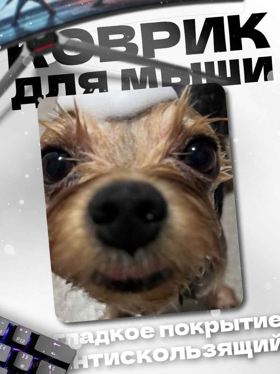 Коврик мокрый йоркширский терьер