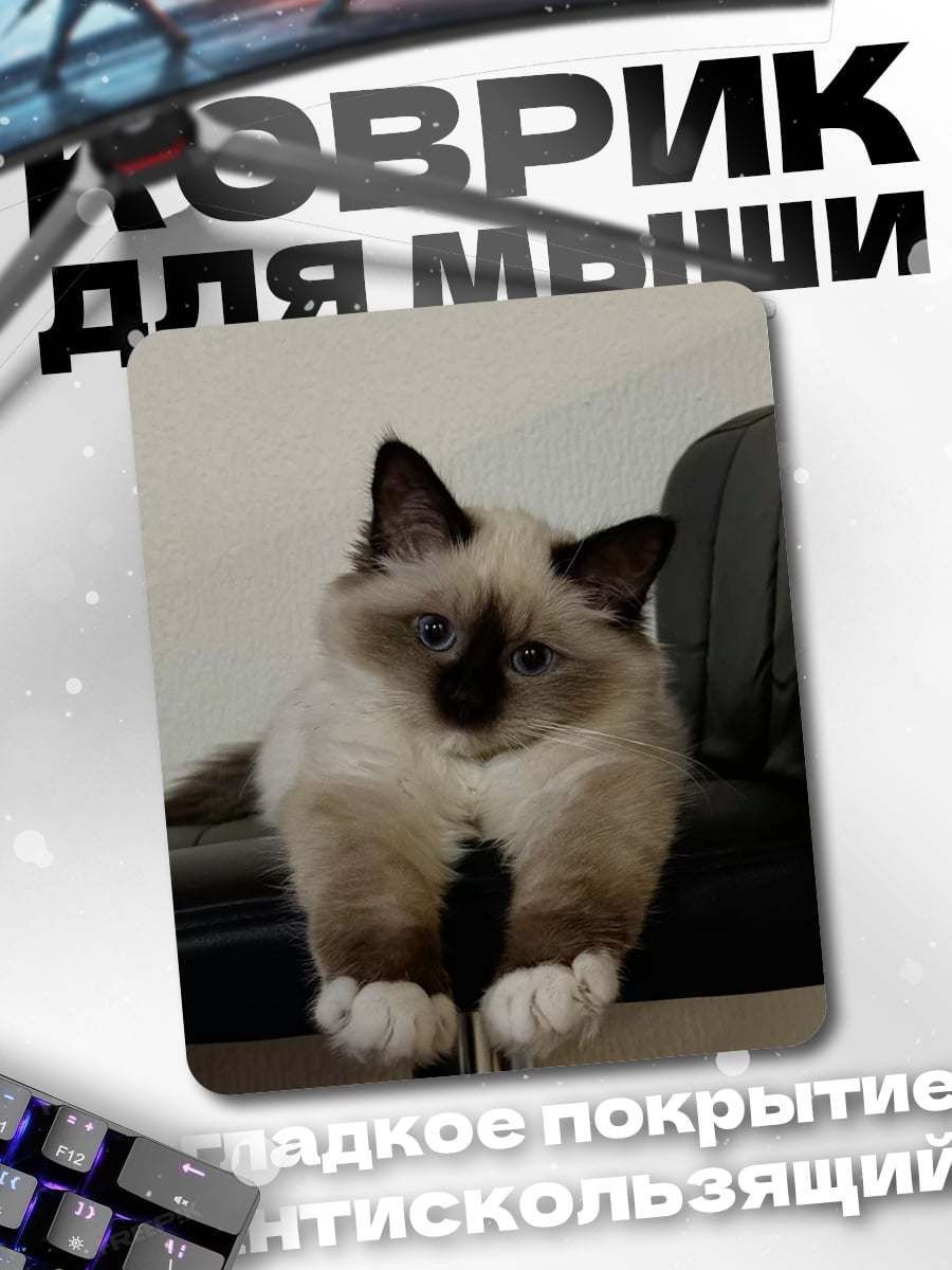 Коврик Пушистый кот