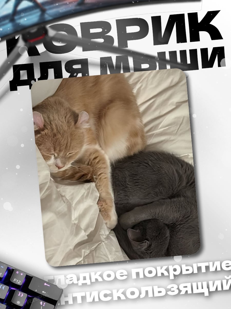 Коврик Два спящих кота