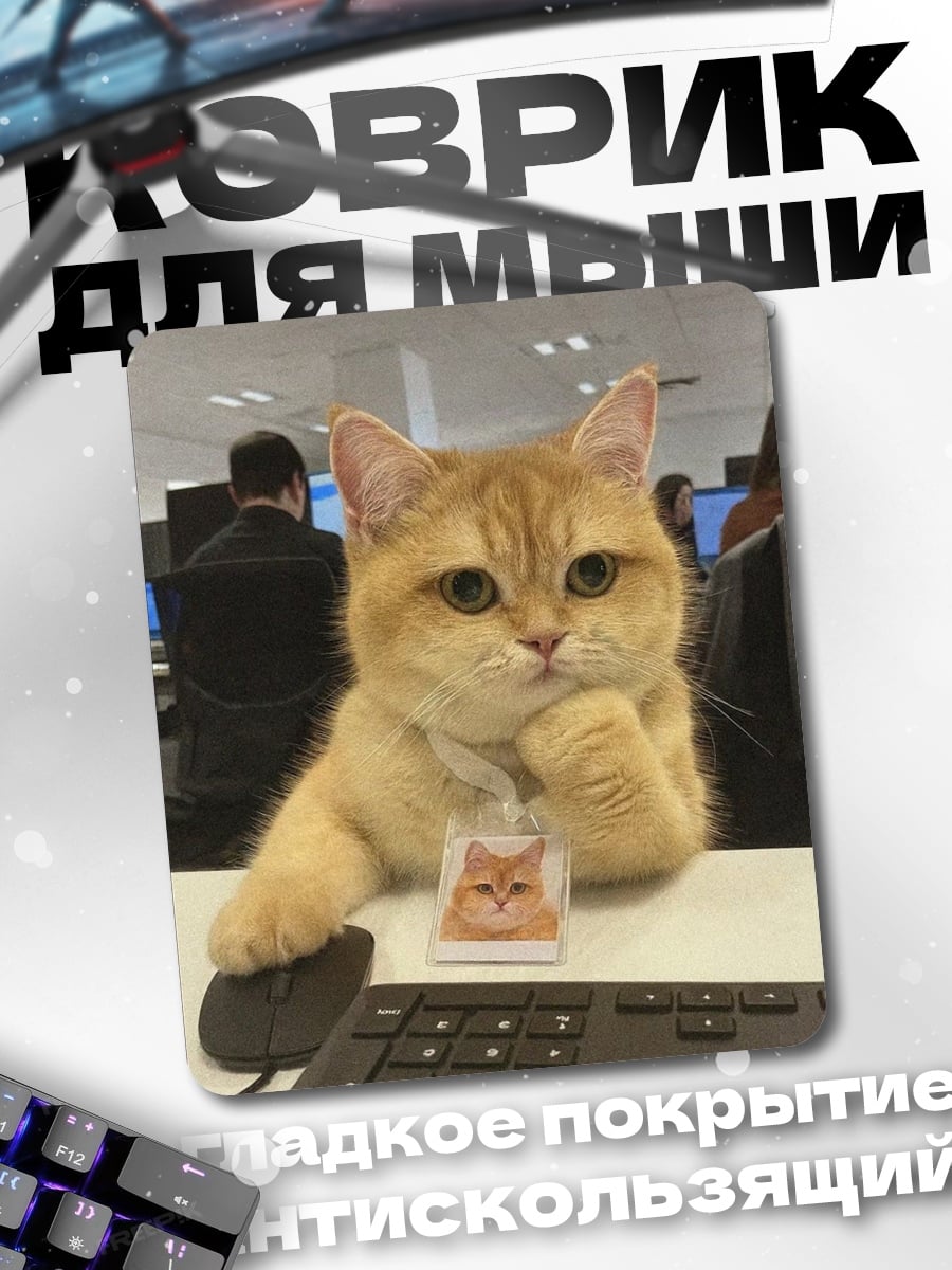 Коврик Кот за компьютером