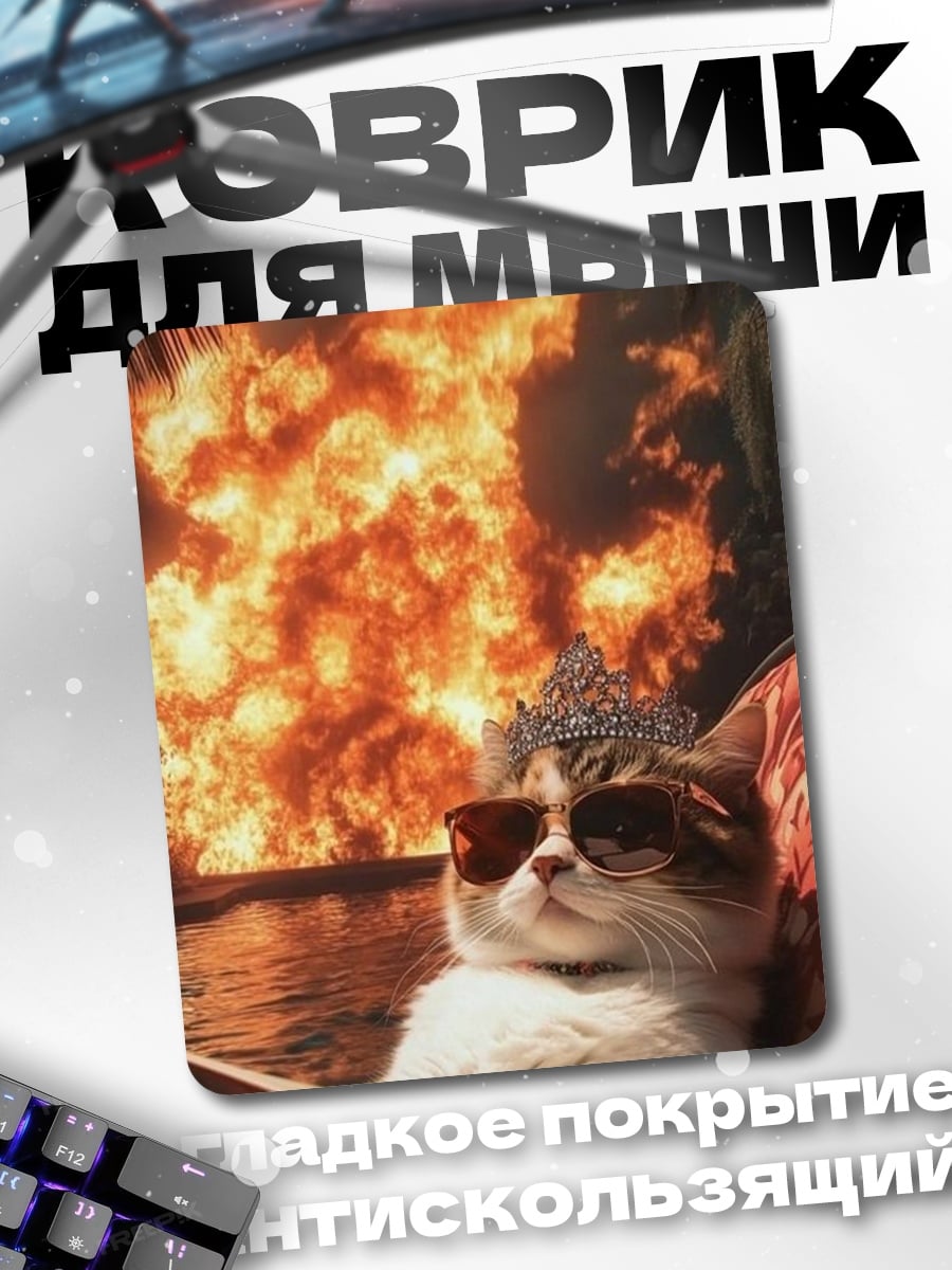 Коврик Кот в очках