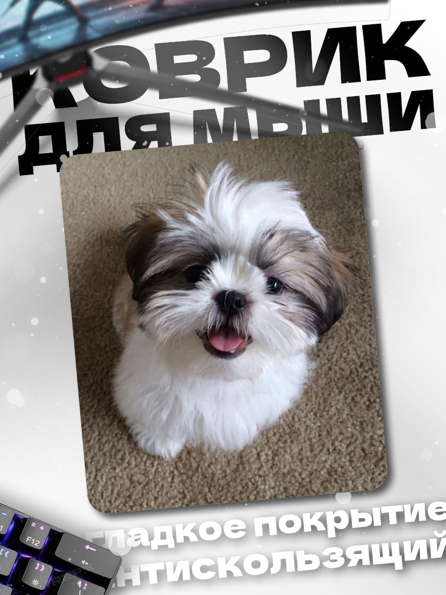 Коврик Милый щенок ши-тцу