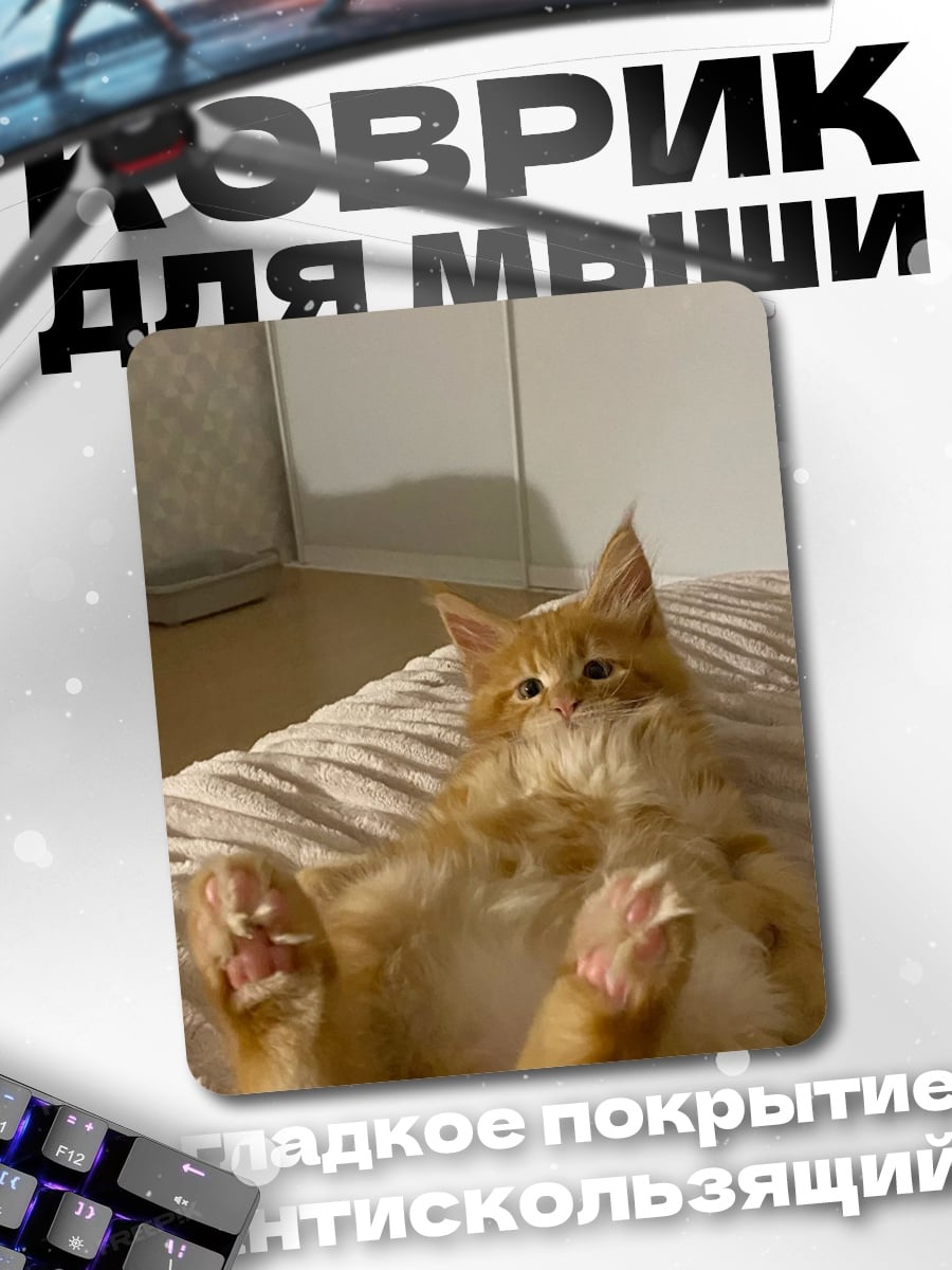 Коврик Рыжий кот лежит