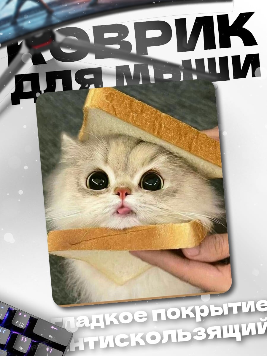 Коврик Кот в сэндвиче