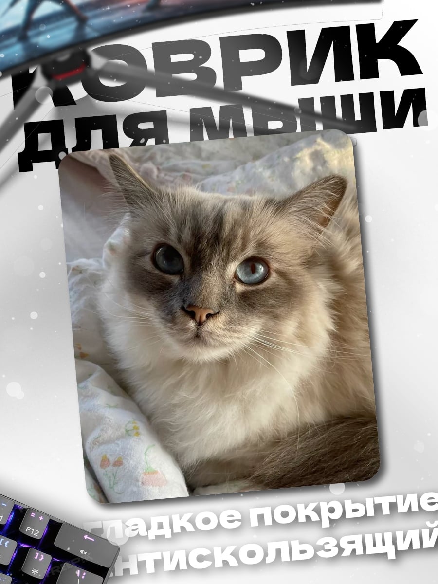 Коврик Пушистый кот