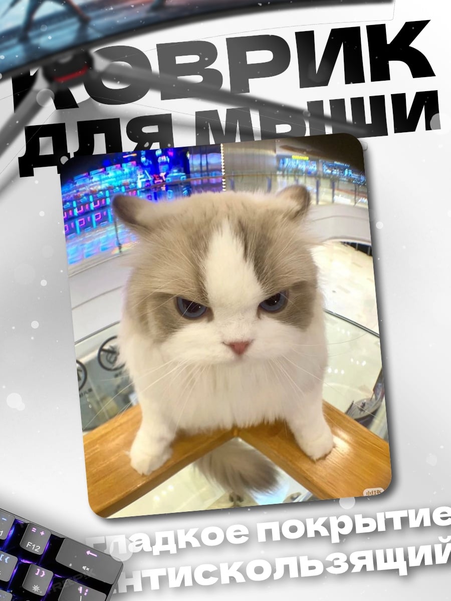 Коврик Сердитый кот арт