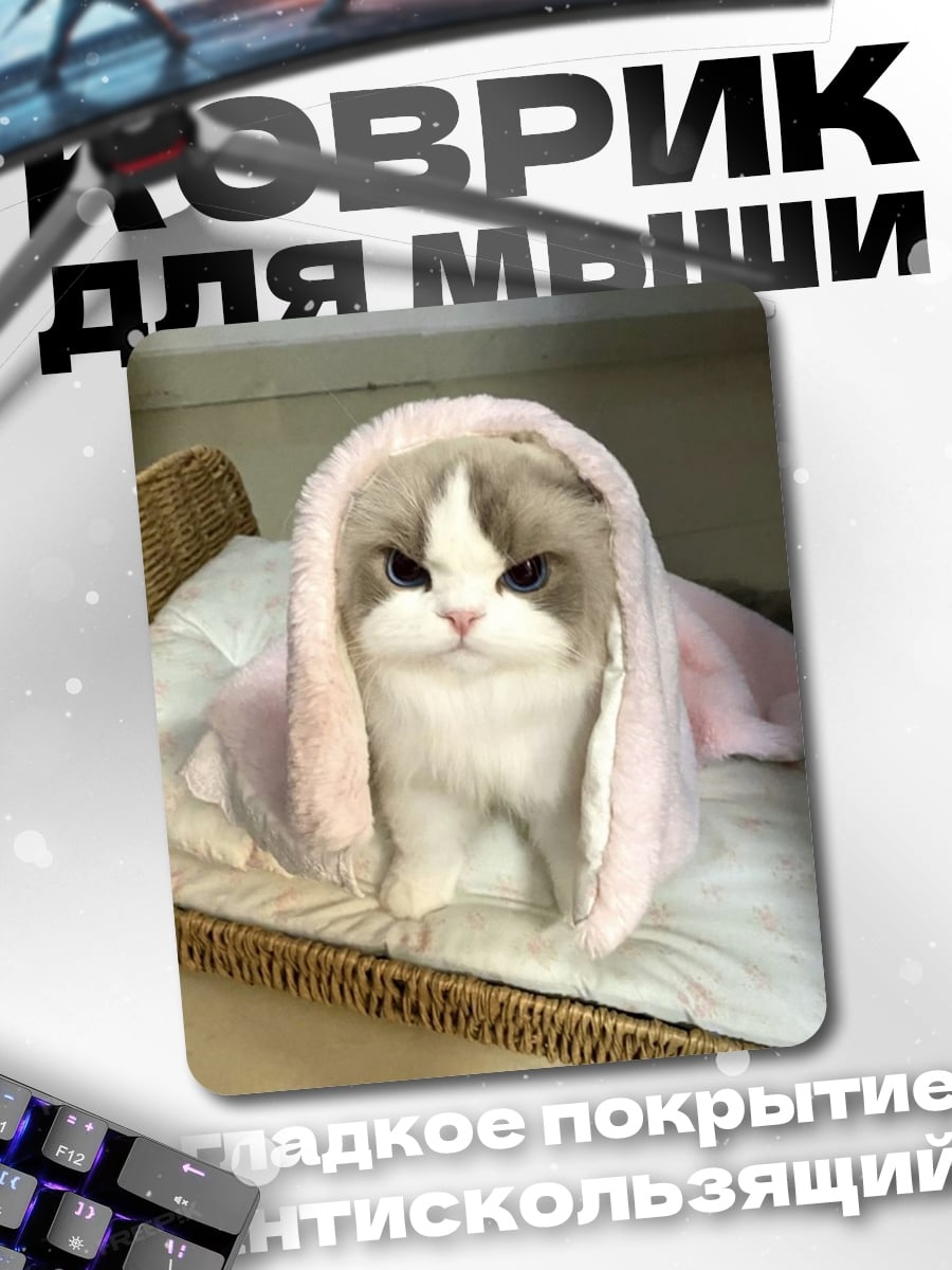 Коврик Сердитый кот в пледе