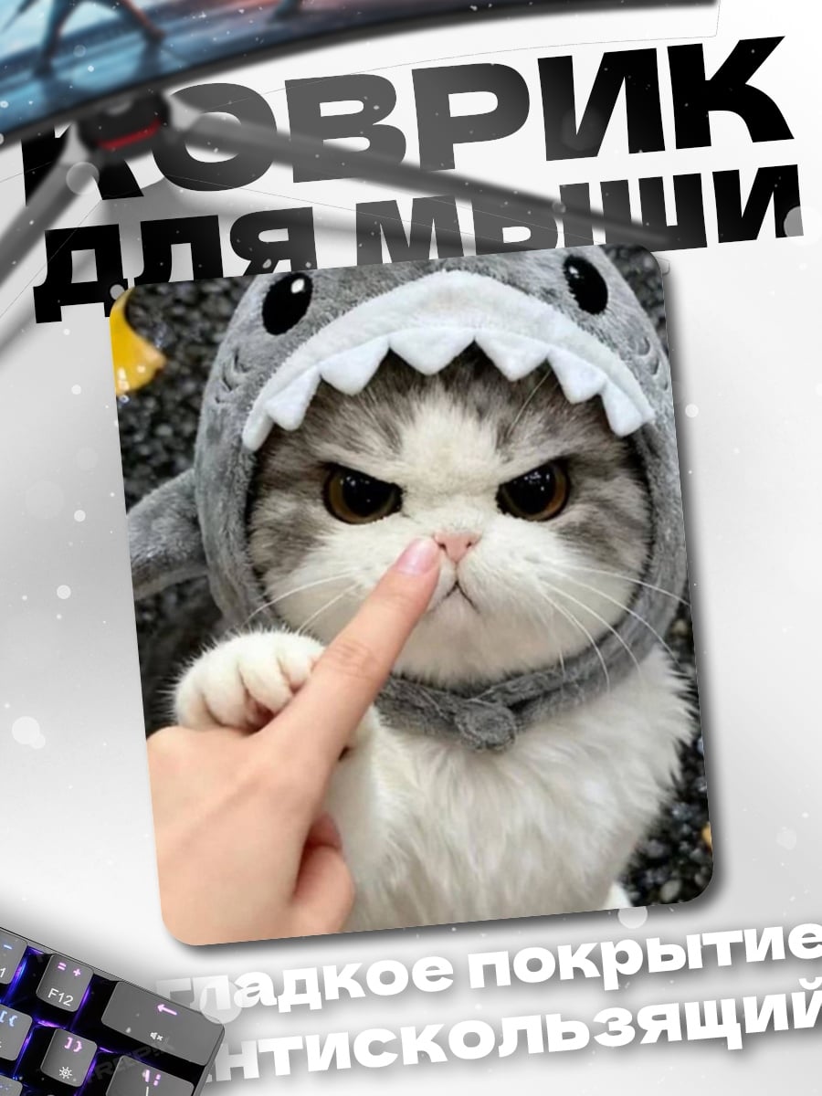 Коврик Кот в костюме акулы