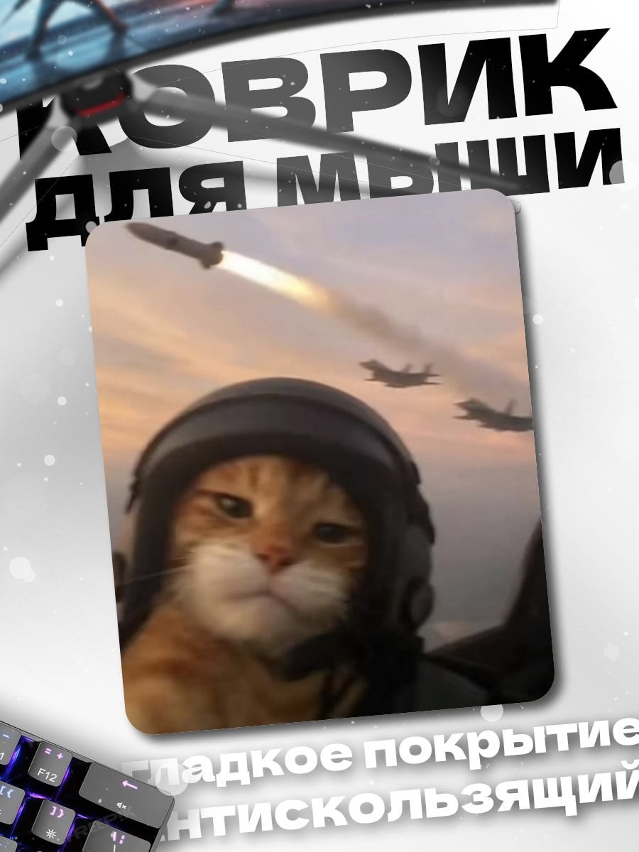 Коврик Кот пилот истребителя