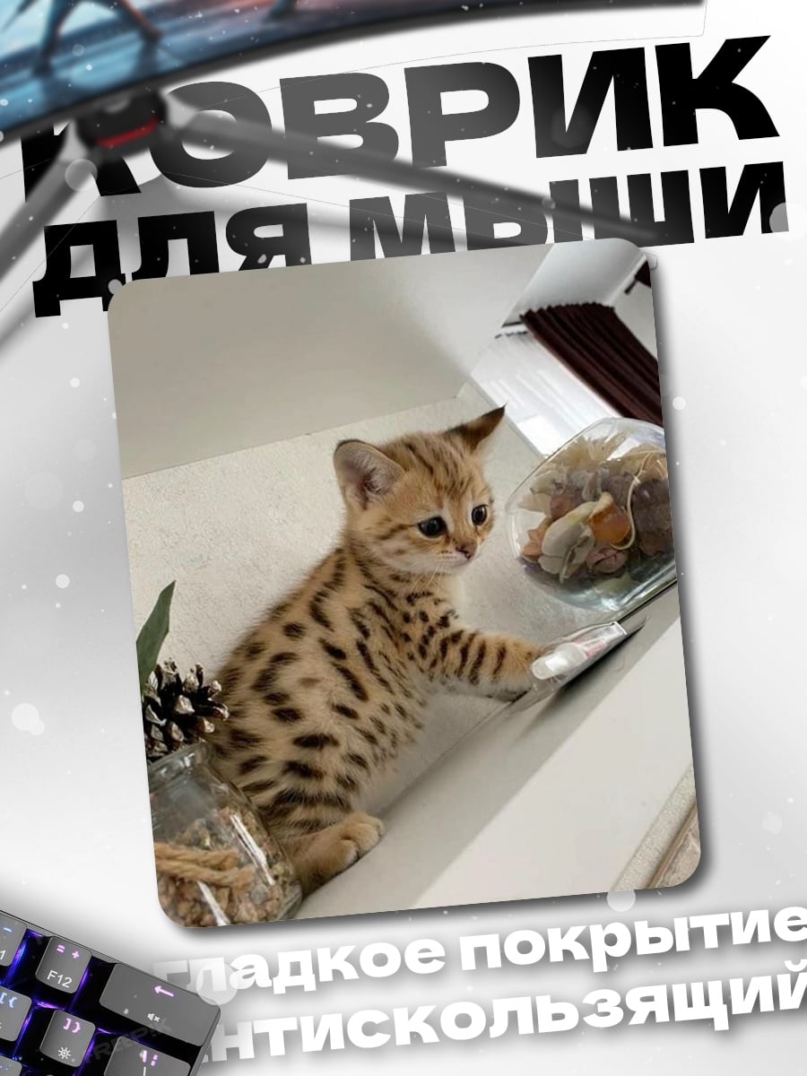 Коврик Котёнок с пятнами