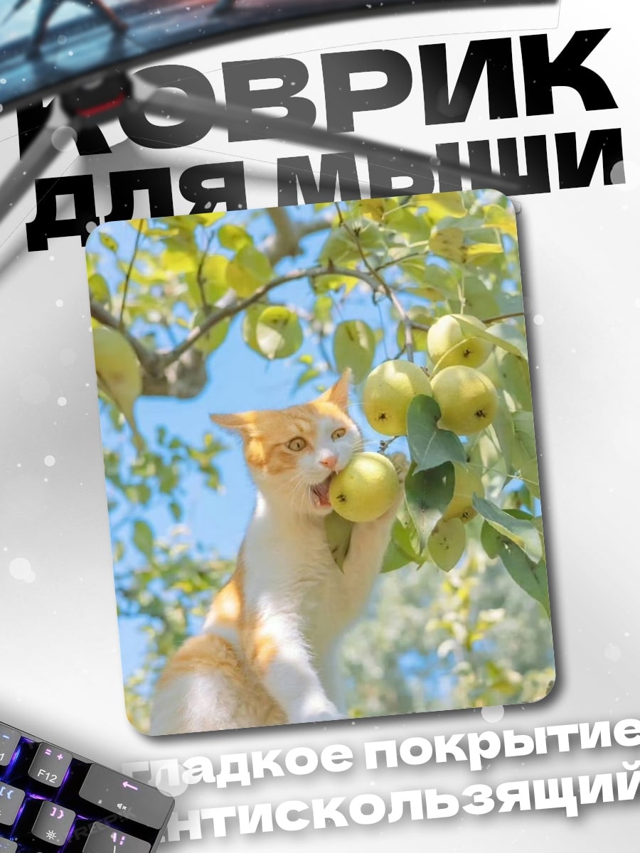 Коврик Котёнок ест яблоко
