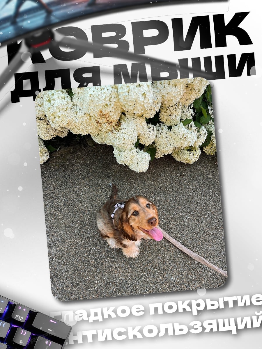 Коврик Такса на поводке