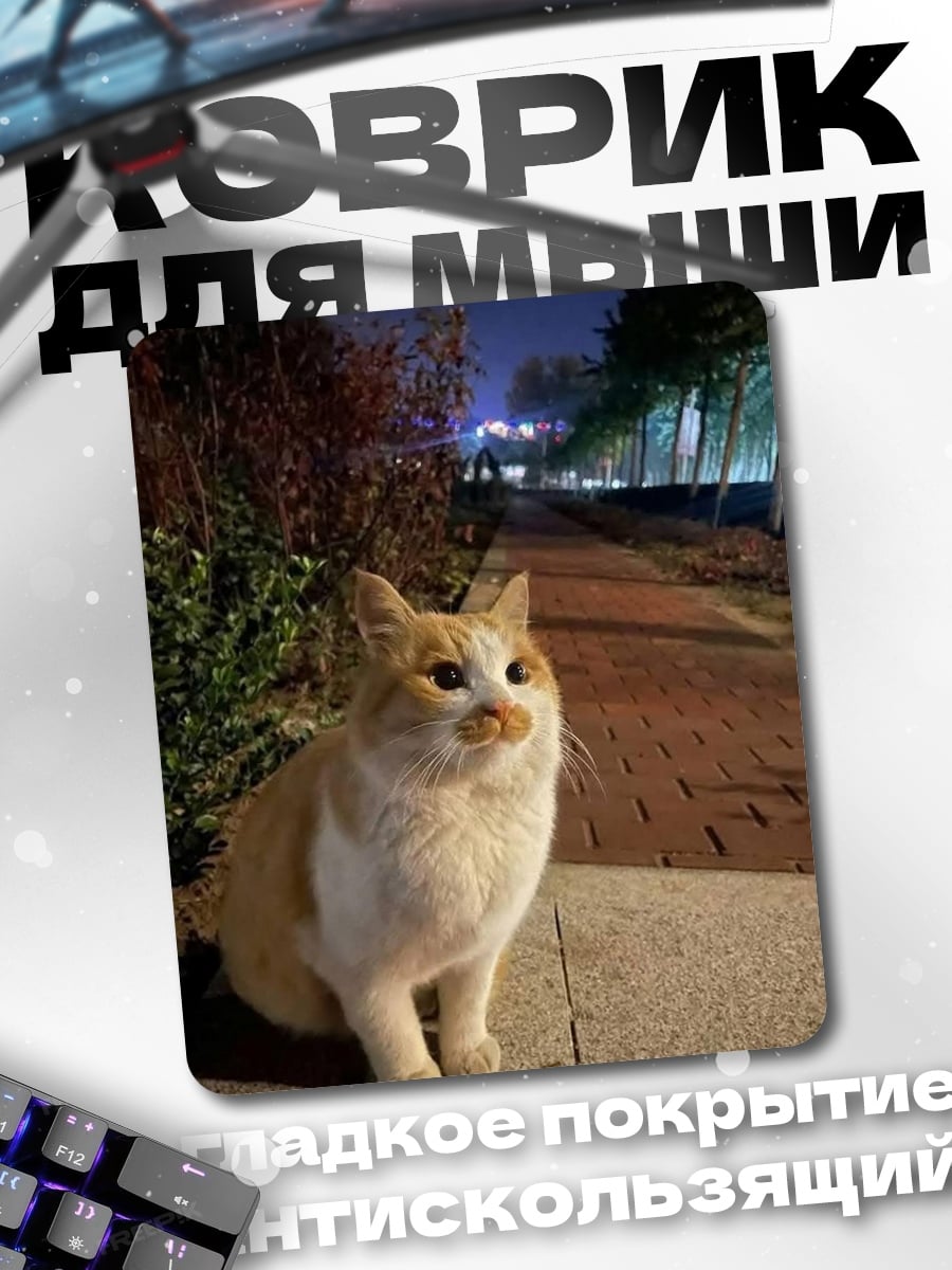 Коврик Кот на улице