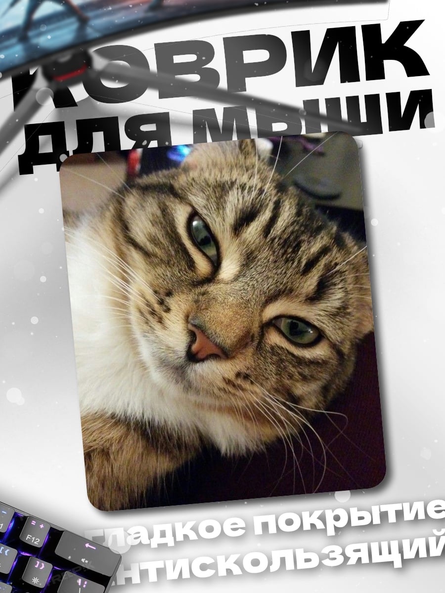 Коврик Ленивый кот