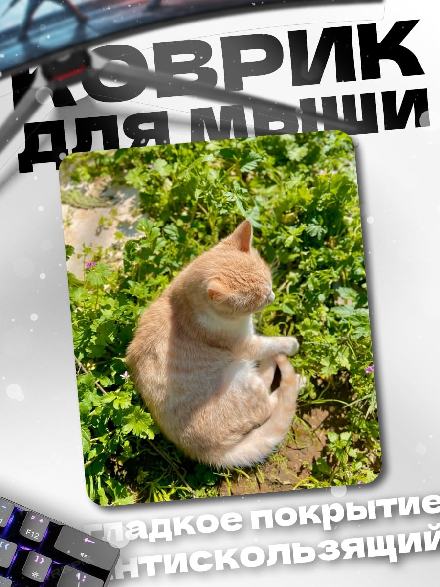 Коврик Кот на траве