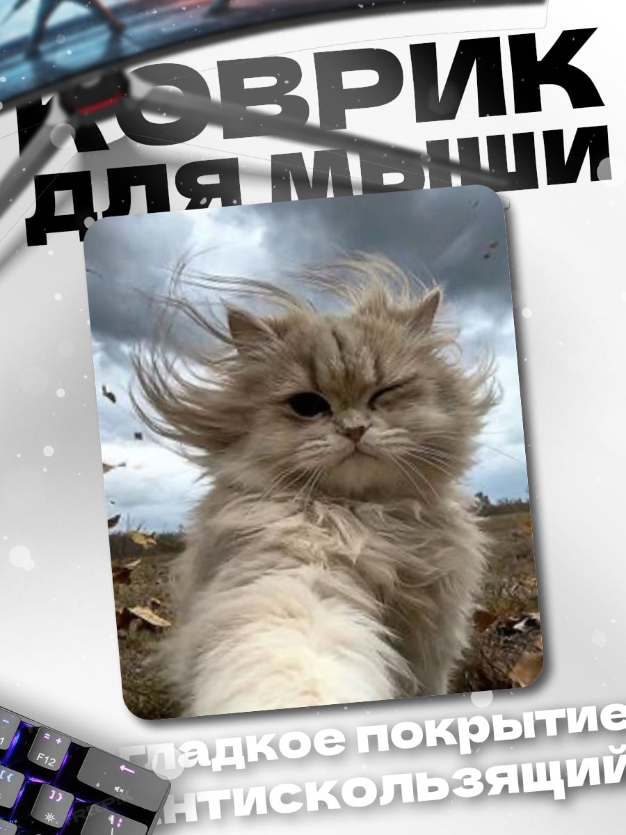 Коврик Кот на ветру