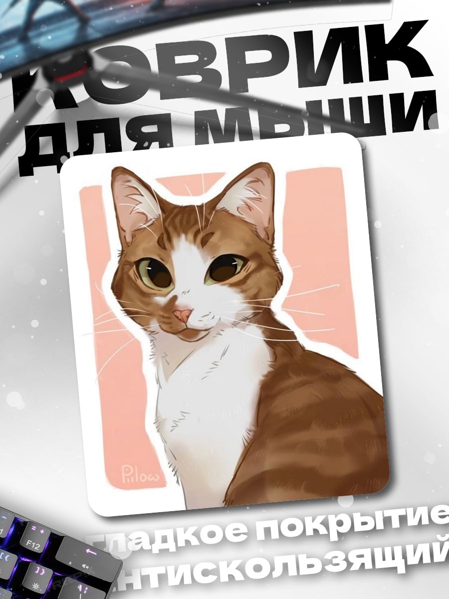 Коврик Рыжий кот с белой грудкой