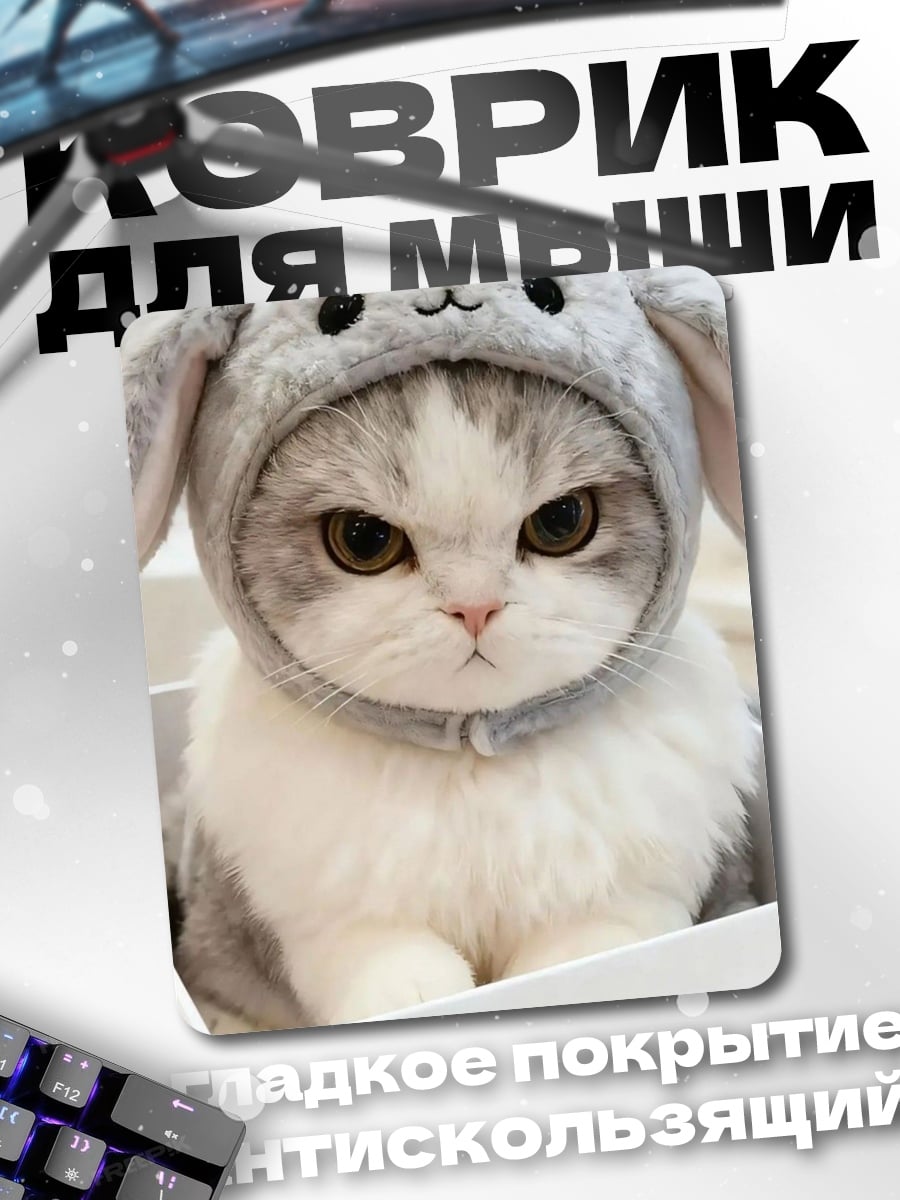 Коврик Сердитый котик в шапке