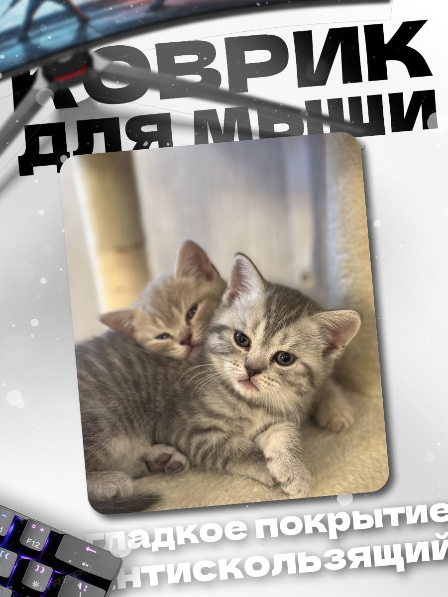 Коврик Два котенка