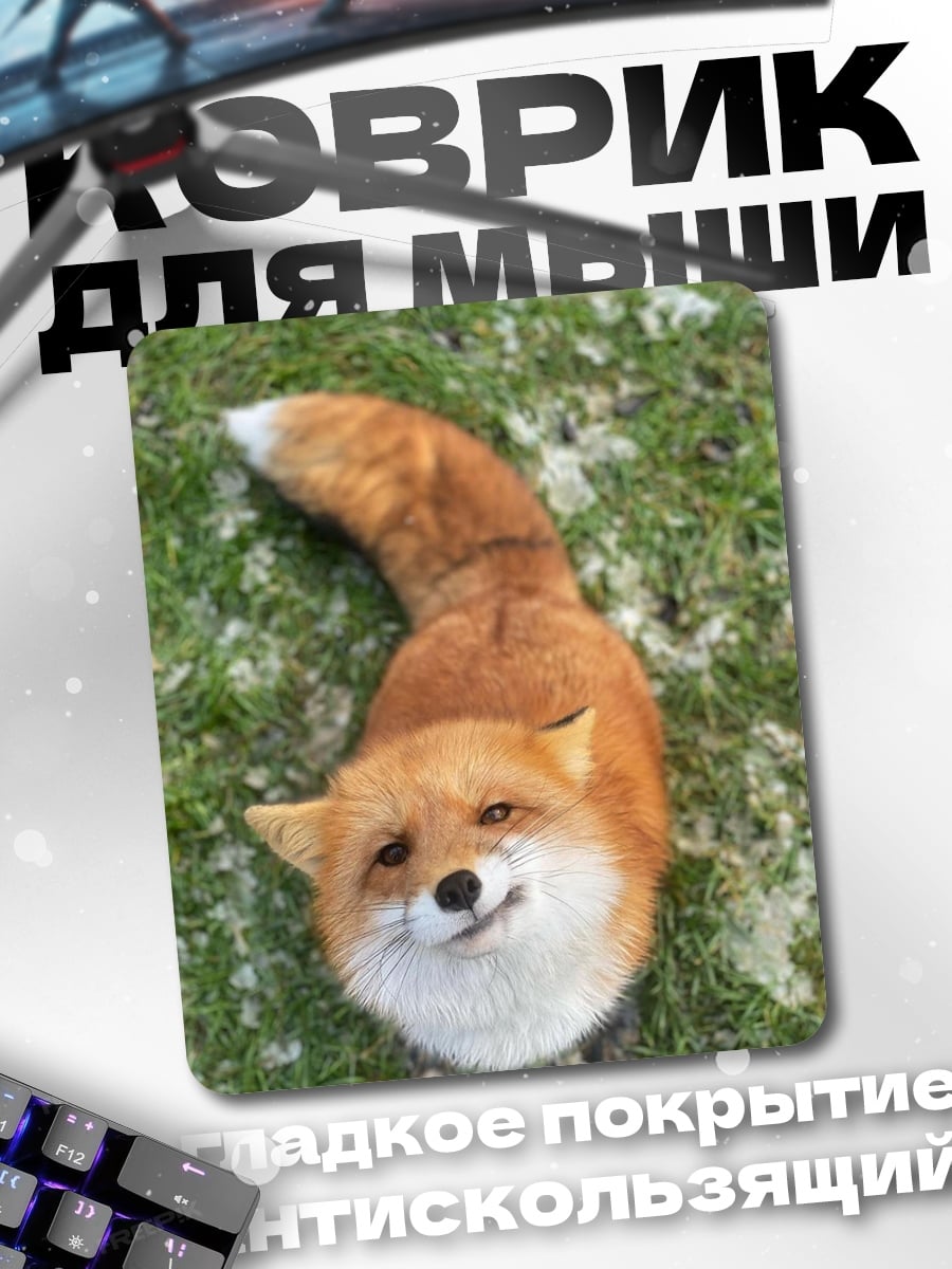 Коврик Рыжий лис улыбка
