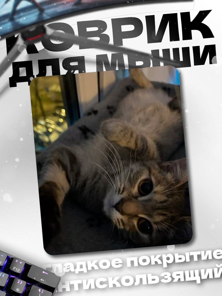 Коврик Кот лежит