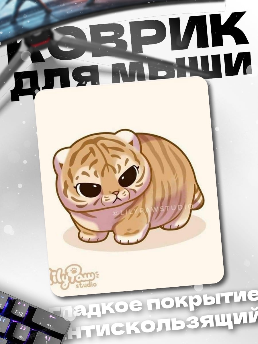 Коврик Смешной котенок