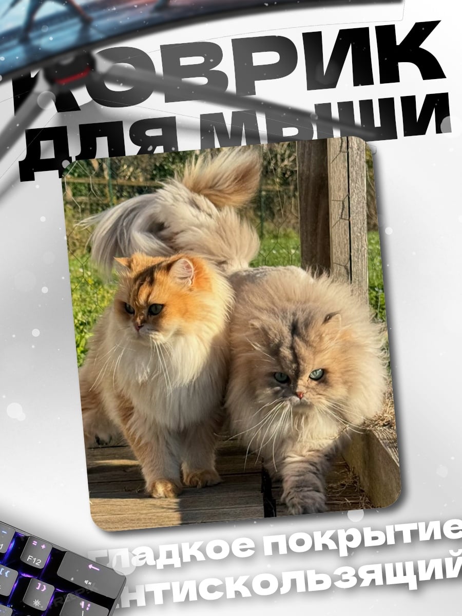 Коврик Две пушистые кошки