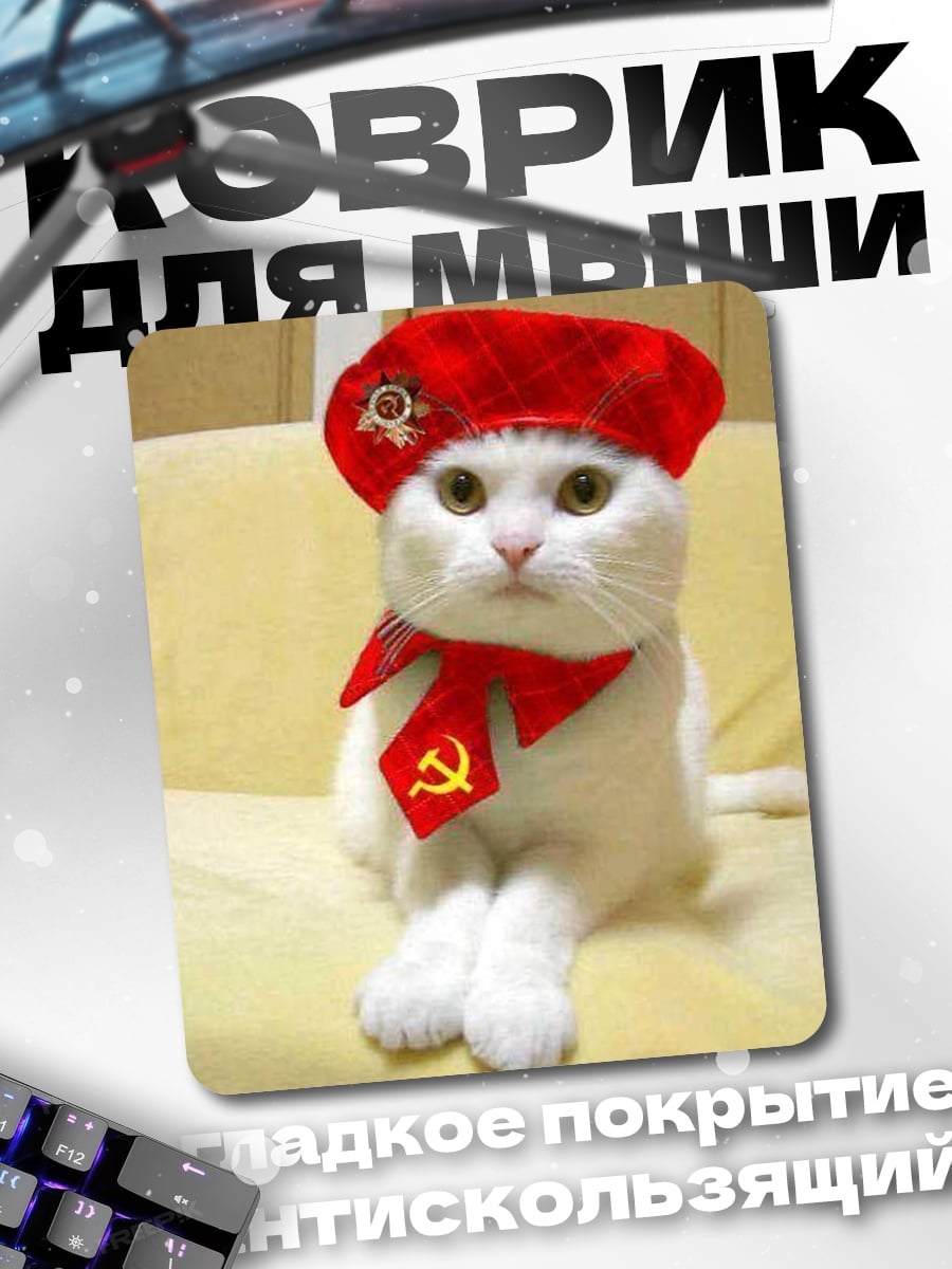 Коврик Кот в берете
