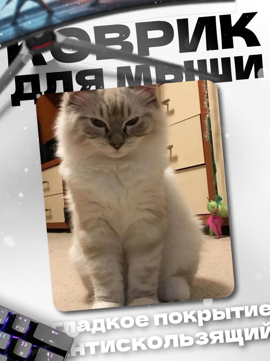 Коврик пушистый кот сидит