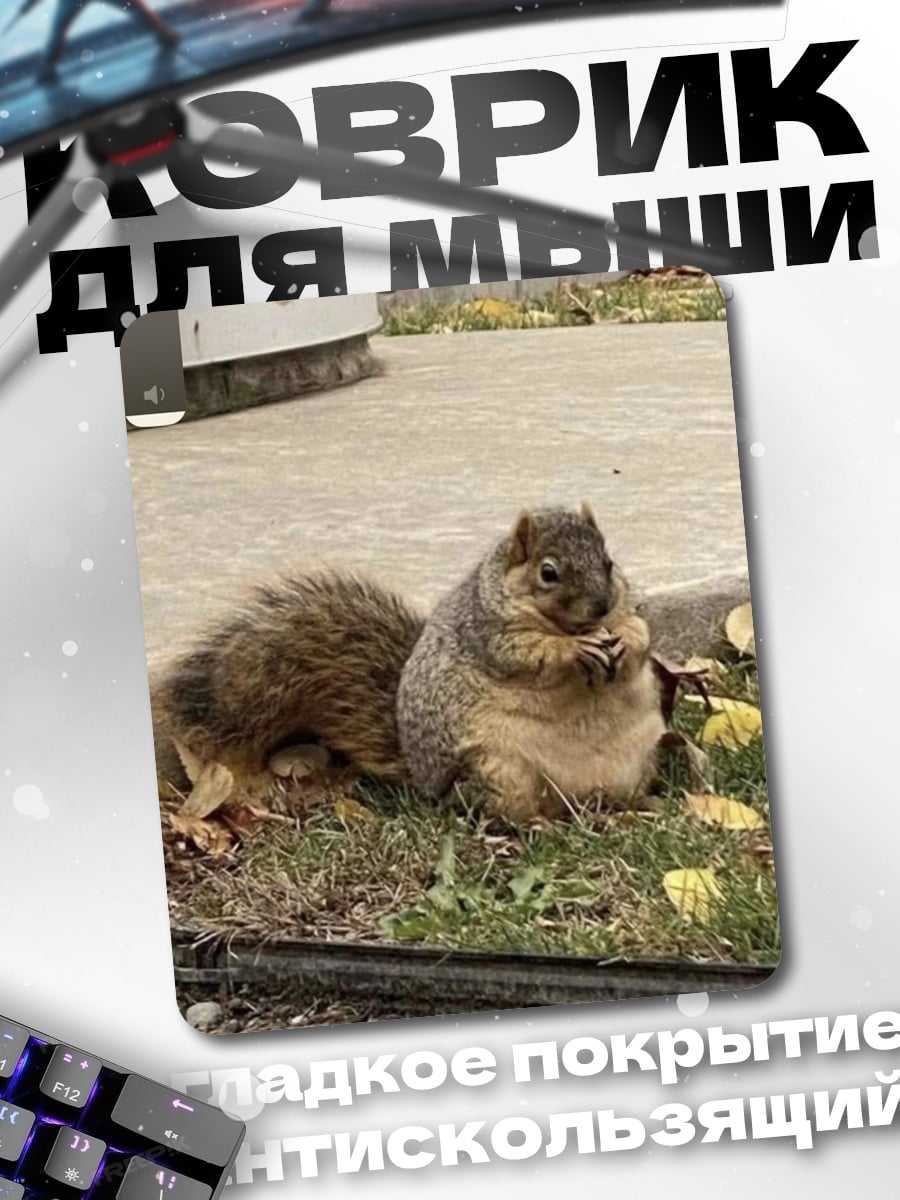Коврик Толстая белка ест