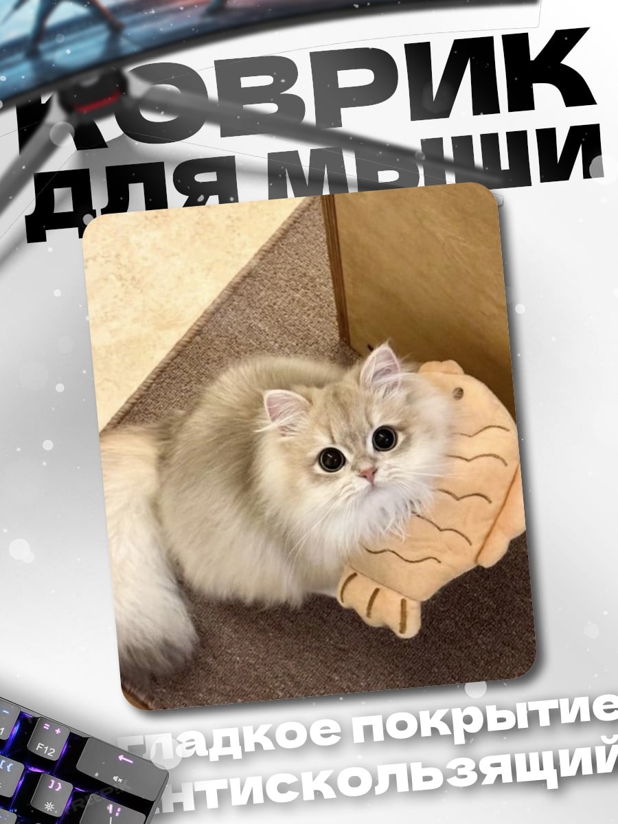 Коврик Пушистый кот