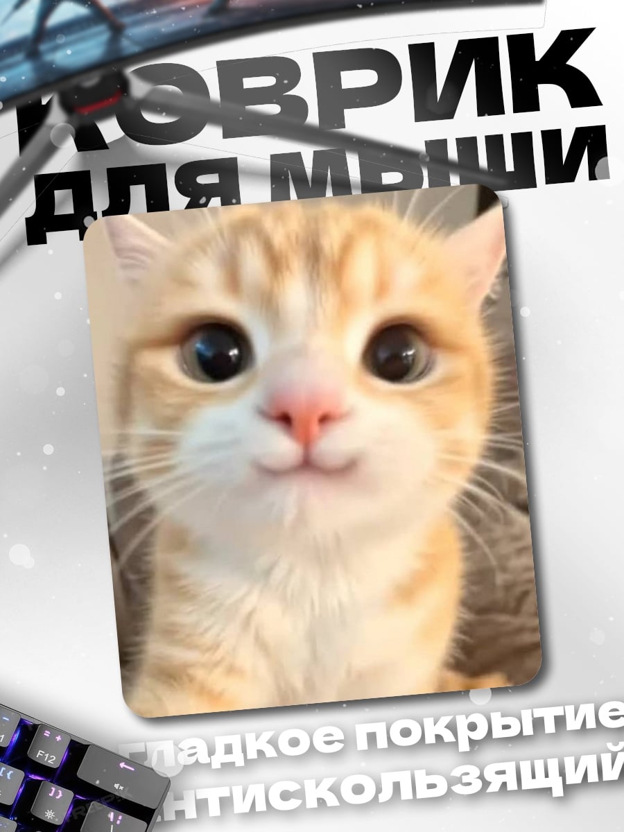 Коврик Рыжий кот милашка