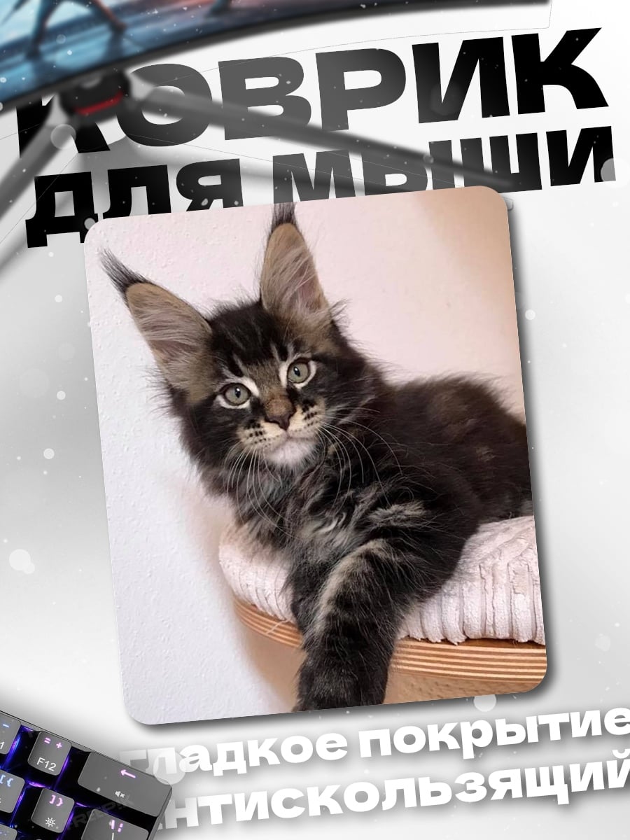 Коврик Кот мейн-кун