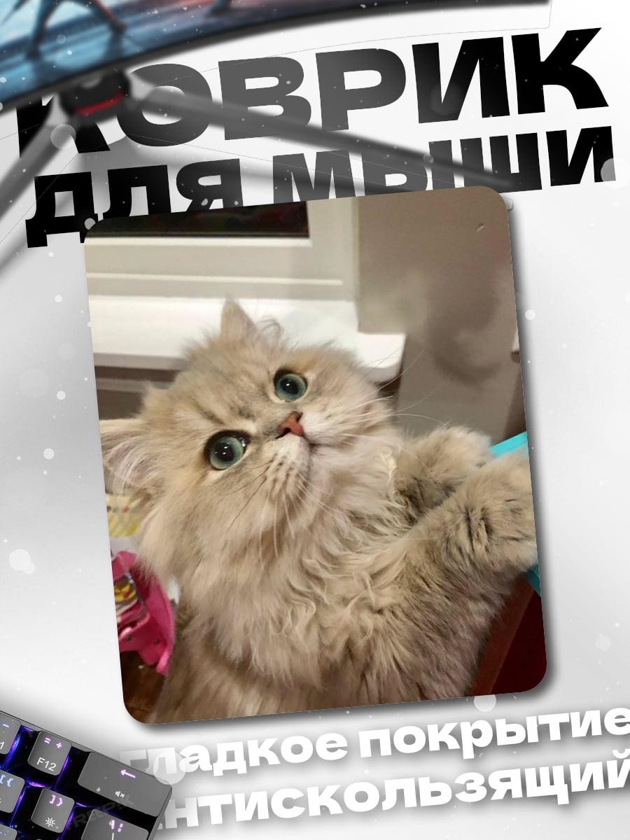 Коврик Пушистый кот