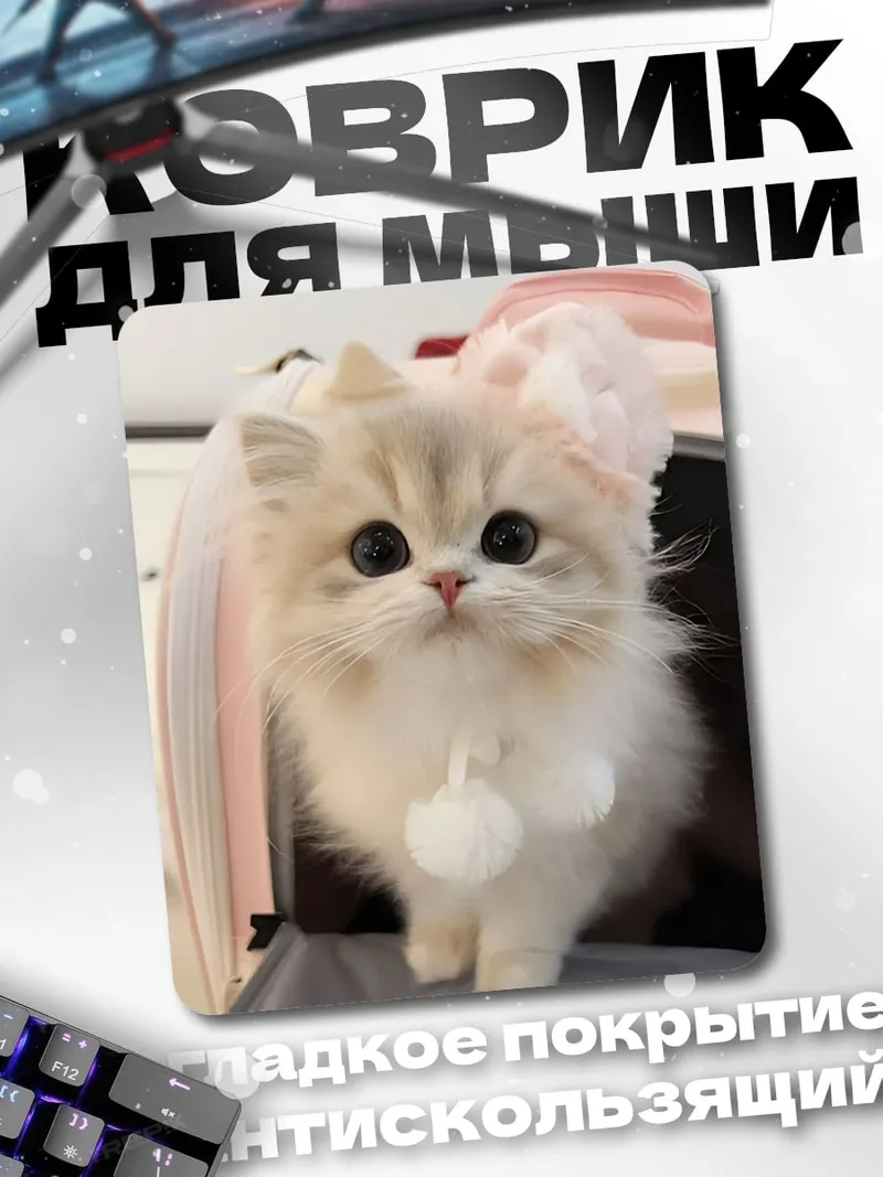 Коврик Пушистый белый котенок