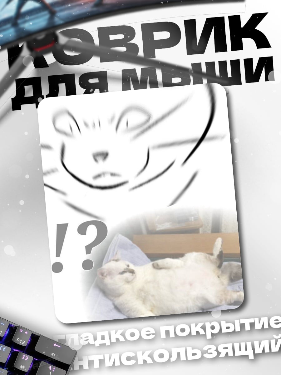 Коврик Мем кот