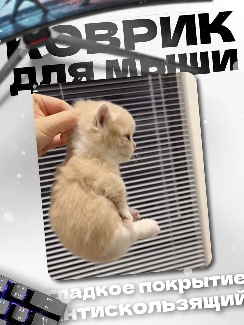 Коврик Маленький котенок на руках